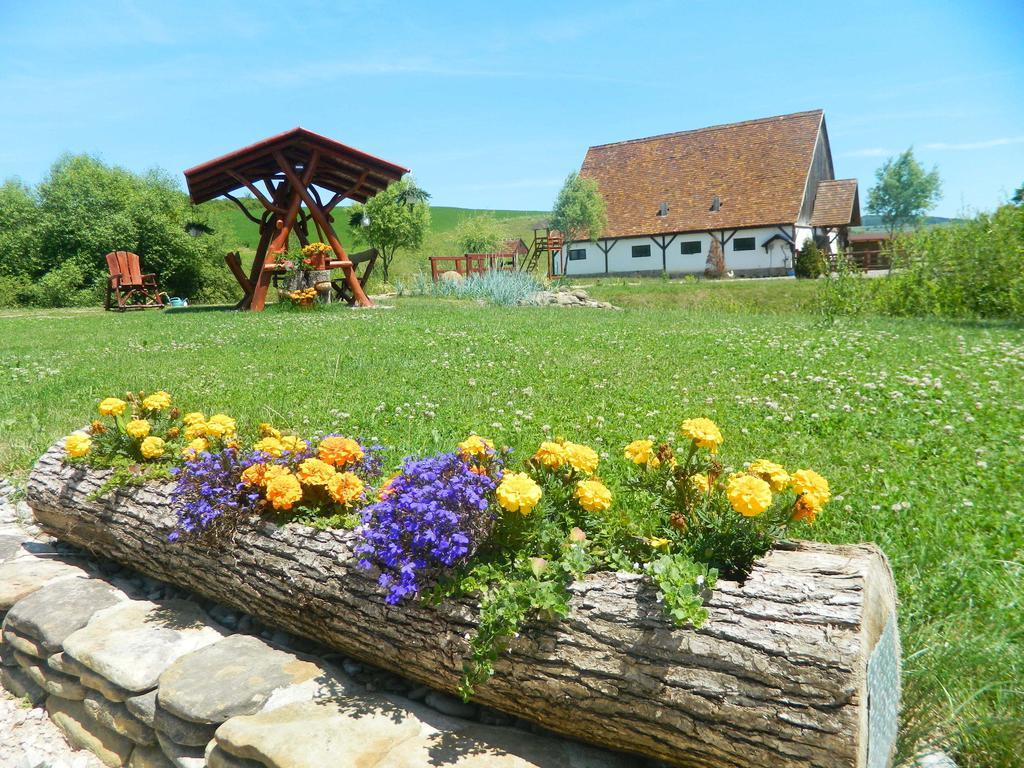 Pensiunea Violeta Saschiz Exterior photo