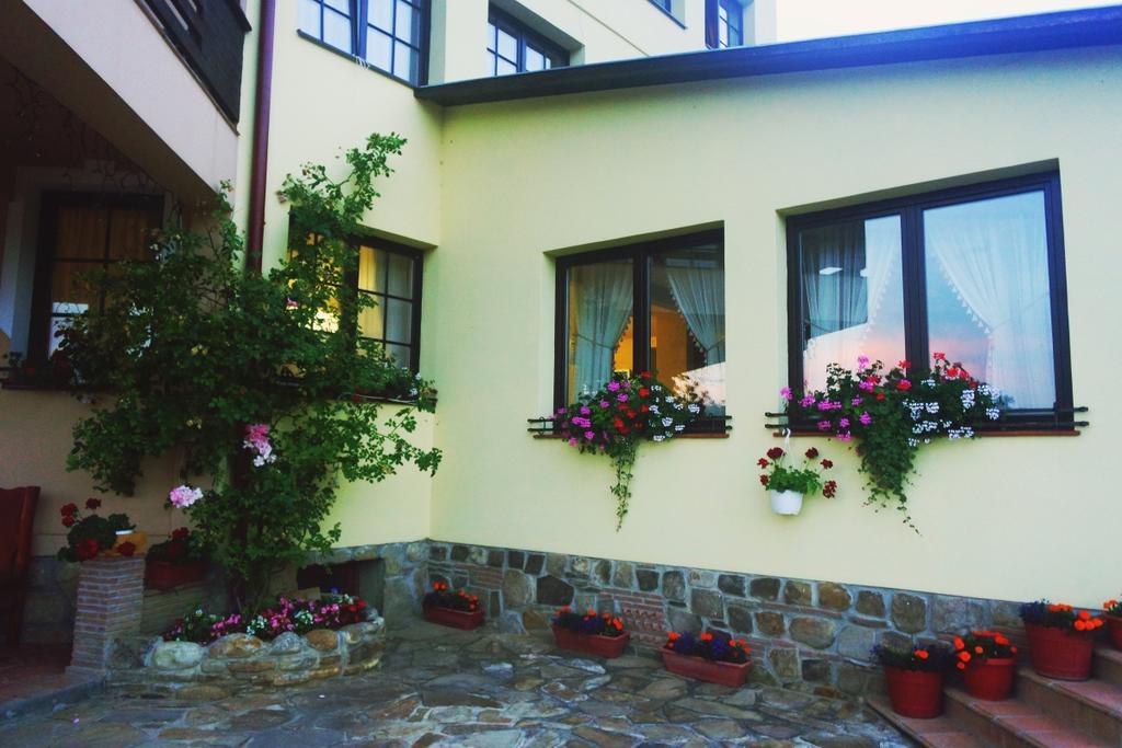 Pensiunea Violeta Saschiz Exterior photo